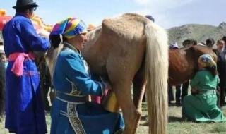 七月和八月蒙古族哪些特色节日 蒙古族传统节日